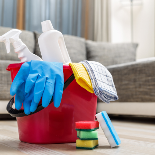 🏛 Commercial & Government Facility Cleaning