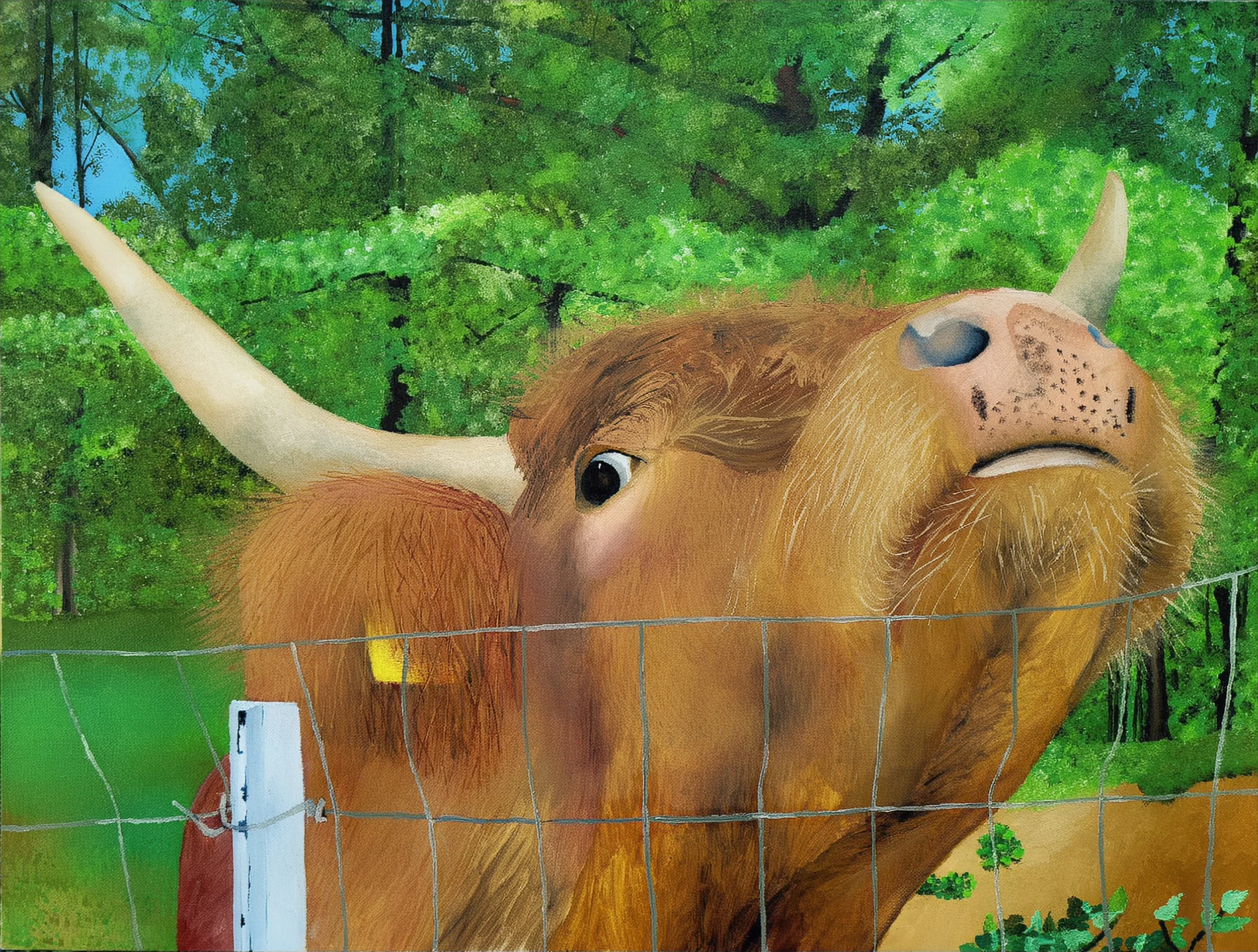 Highland Cow.jpg