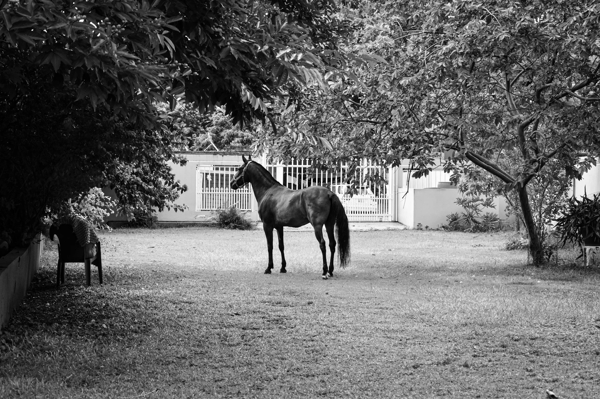 Cirilo_Eva-Luna_Proj_PhotoStory-1-BW _ Depth and Space.JPG
