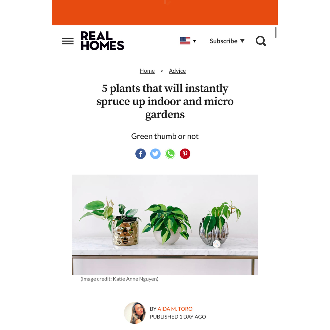 Real Homes: 5 plants that will instantly spruce up indoor and micro gardens