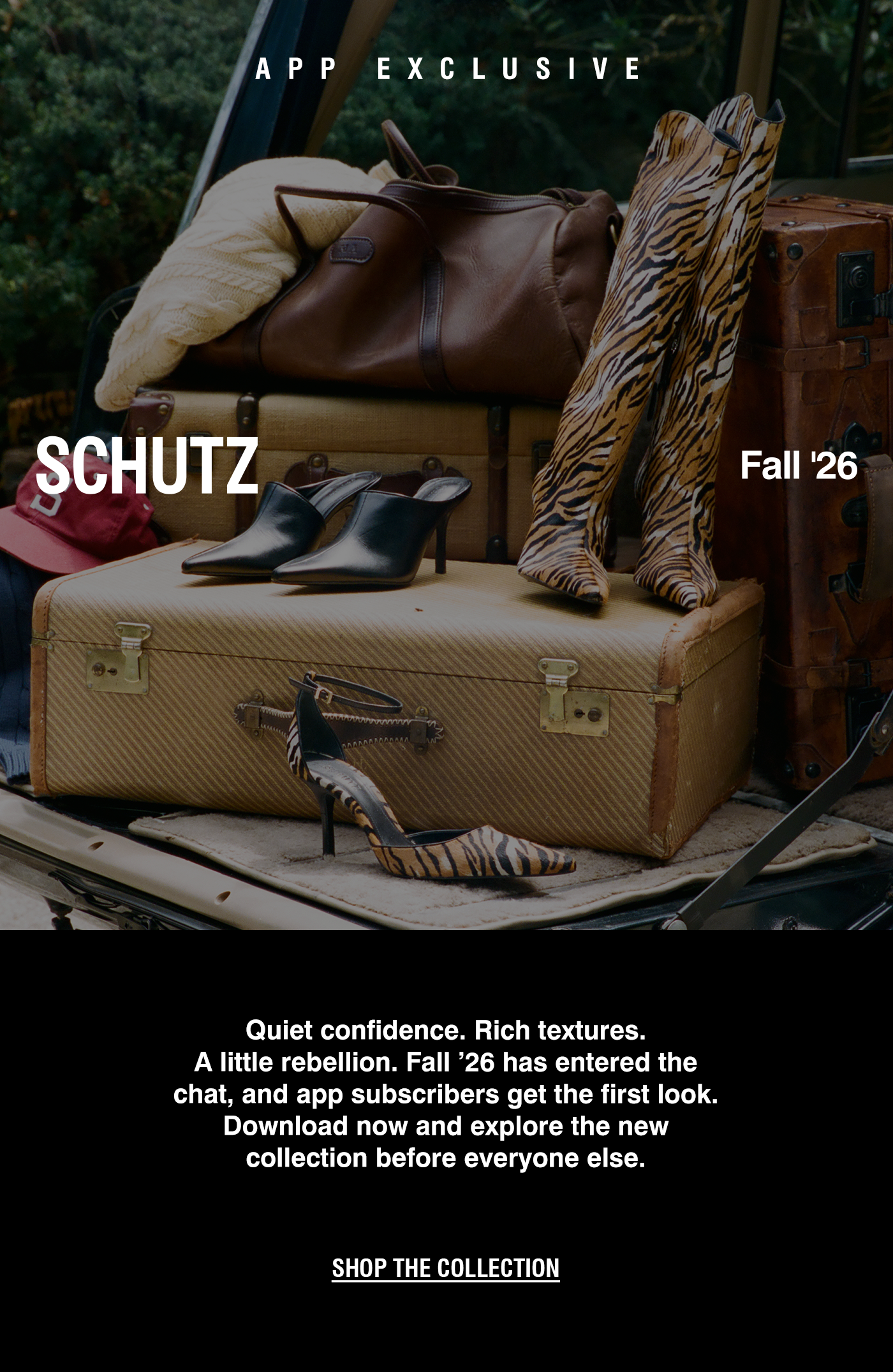 APP SUBSCRIBERS EXCLUSIVE PREVIEW: Fall '26