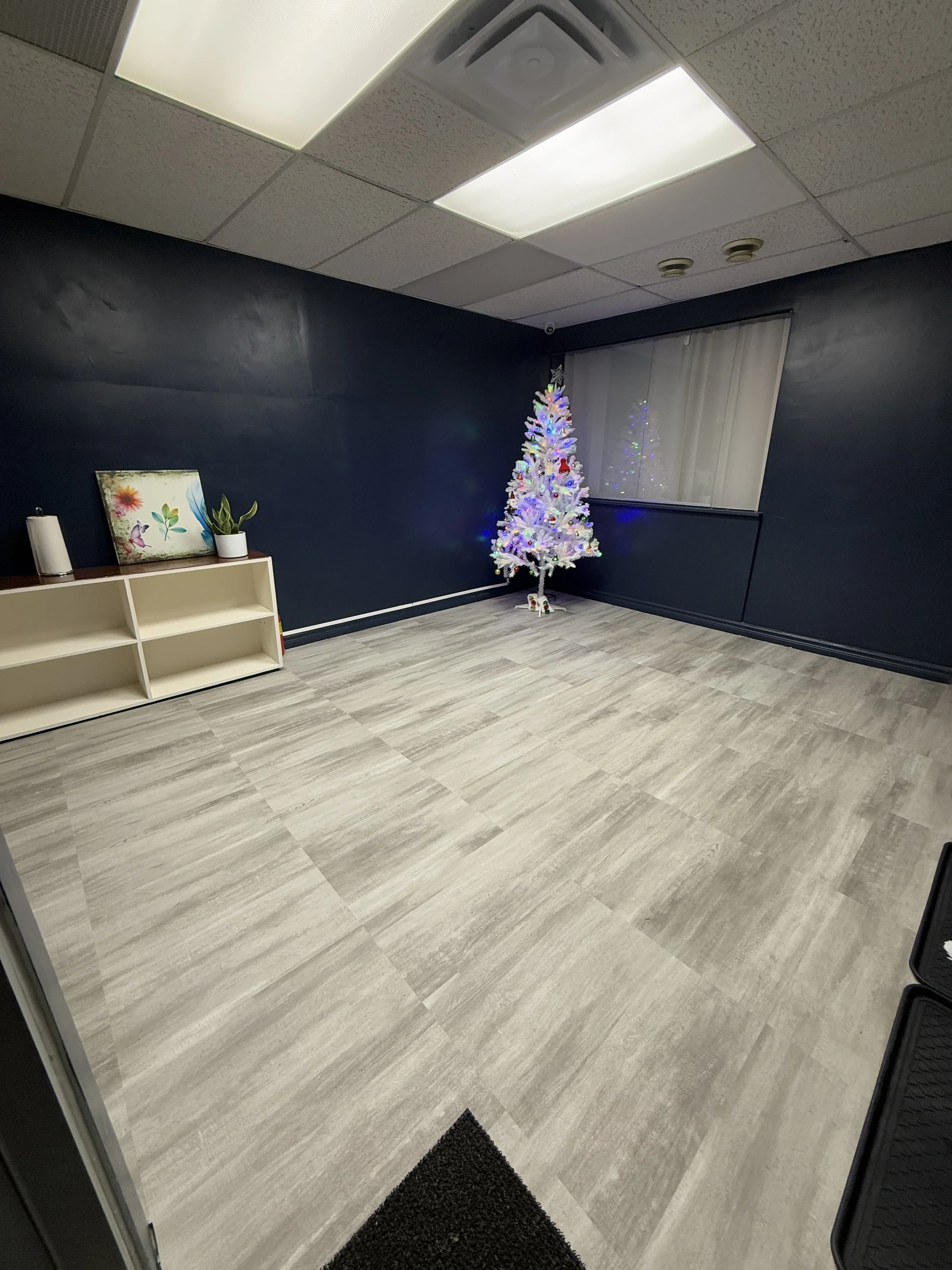 Empty room with a white Christmas tree decorated with purple and blue lights, located in the corner near a window with blinds. A beige shelving unit with a potted plant and artwork is on the left side of the room. The room has a dark blue wall, gray 