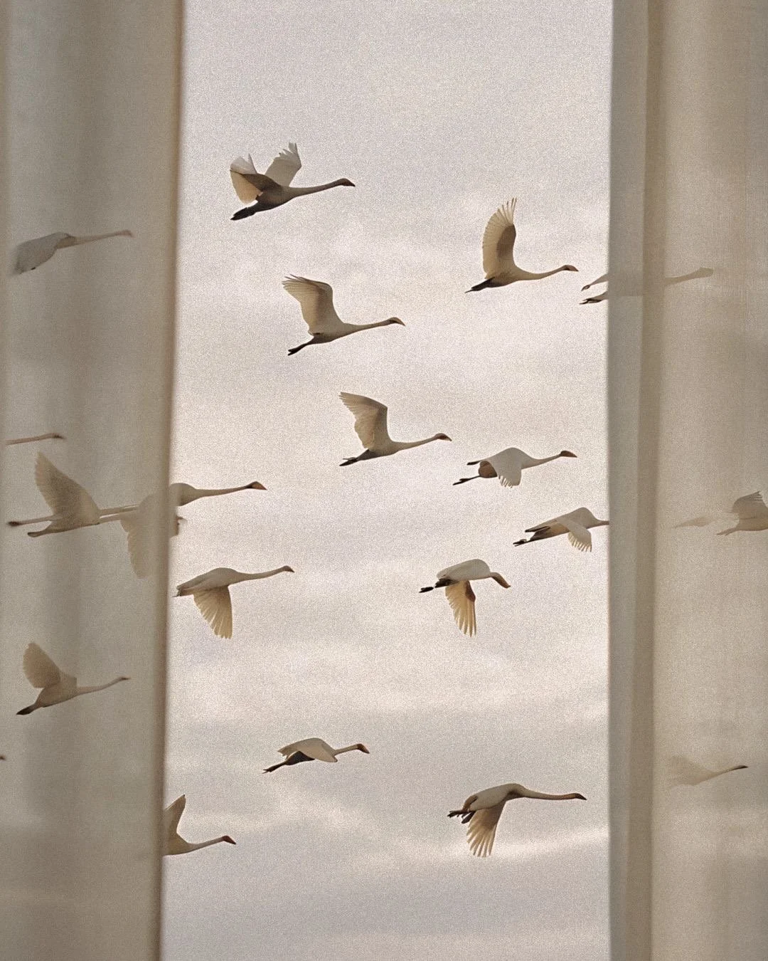 event content creation