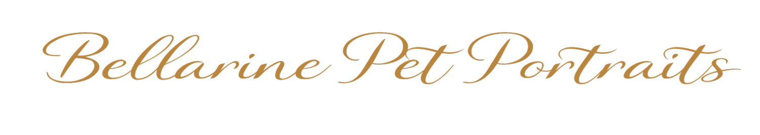 Bellarine Pet Portraits