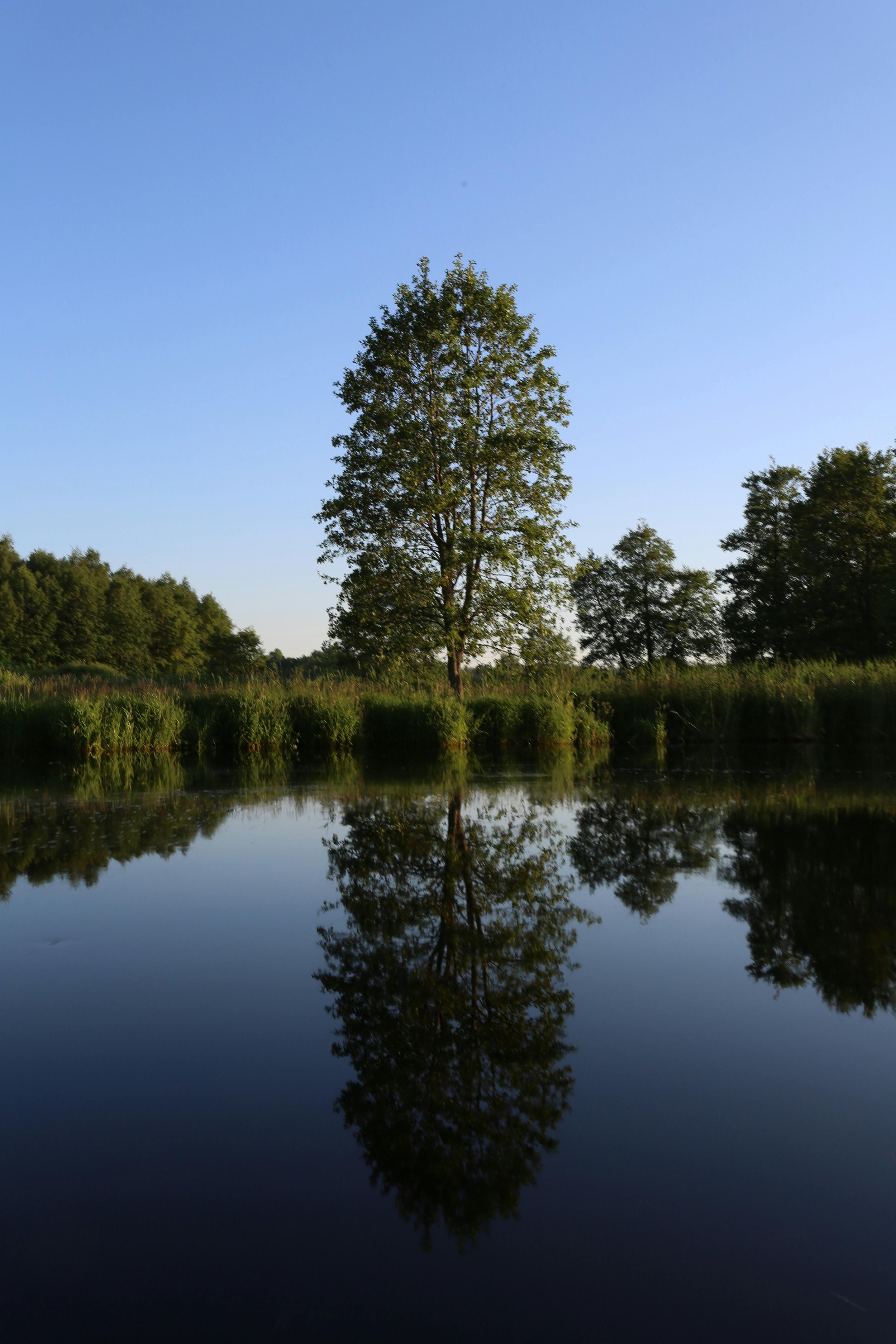 How Ontological Coaching Heals Ourselves, and the World