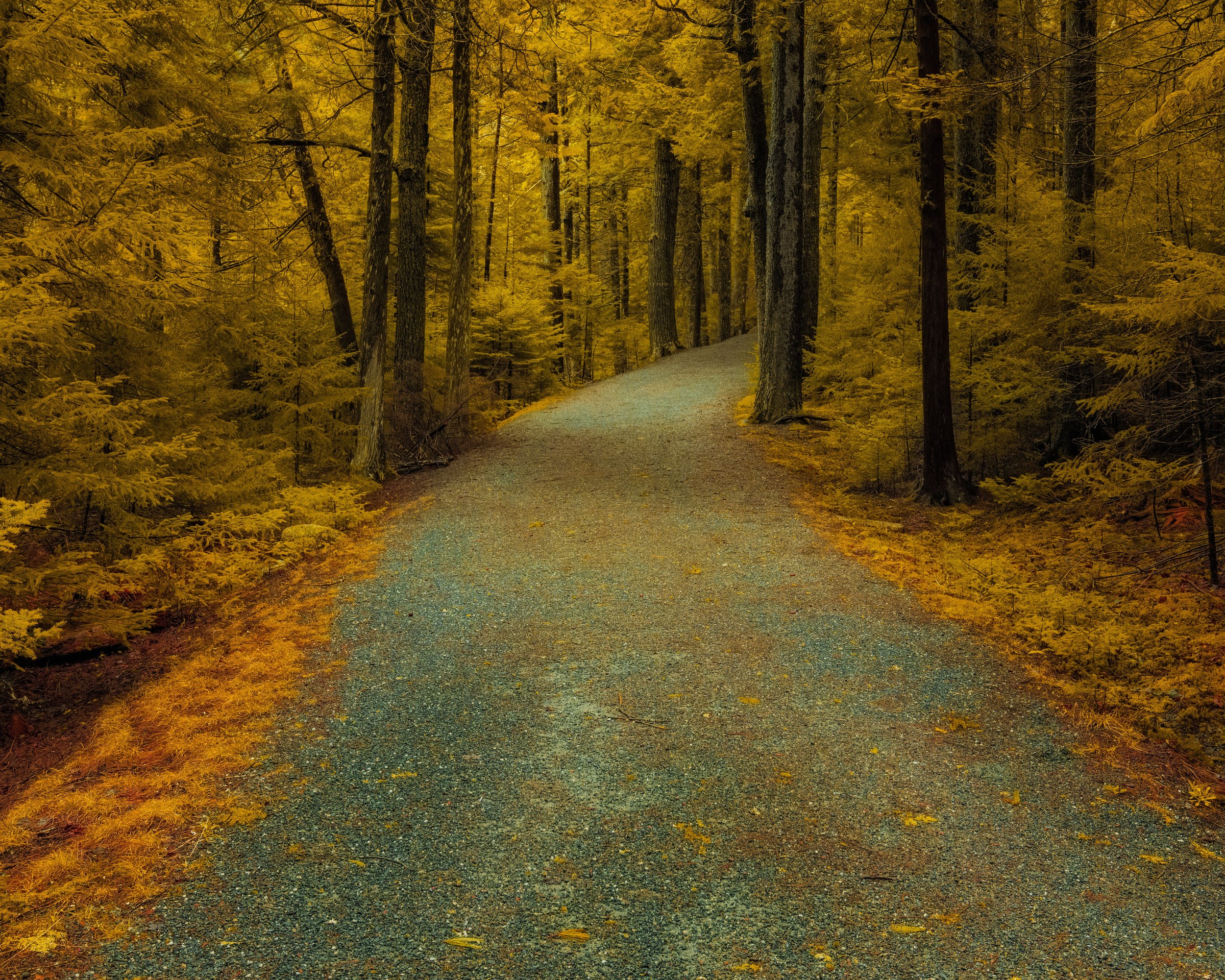 When Memory Disguises Itself As Reality