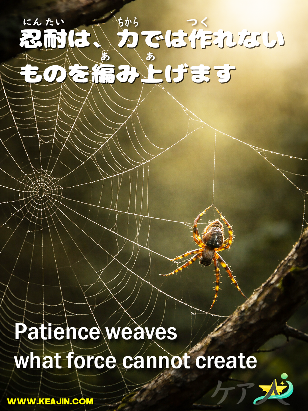 Patience weaves what force cannot create.