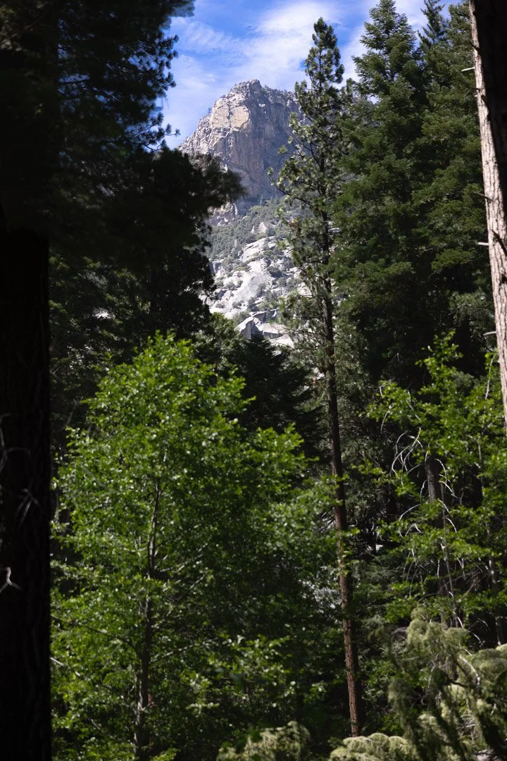 2026_Camping_Trip_04072026_0037.jpg