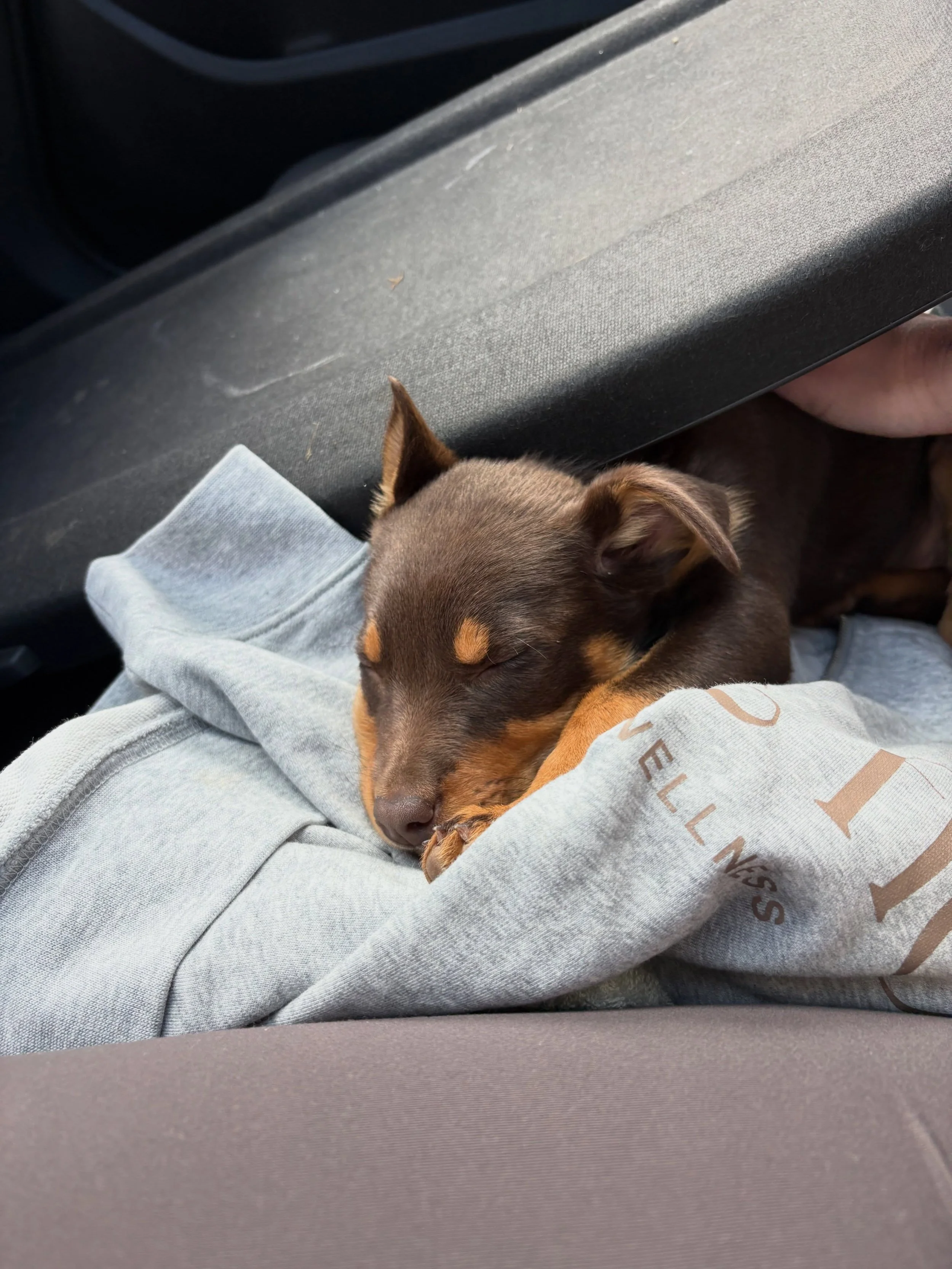 Everybody loves our best-selling Oversized Hoody - even Mouse, a member&rsquo;s adorable puppy 🥰 🐾 

Grab one for yourself either In-Studio or online x