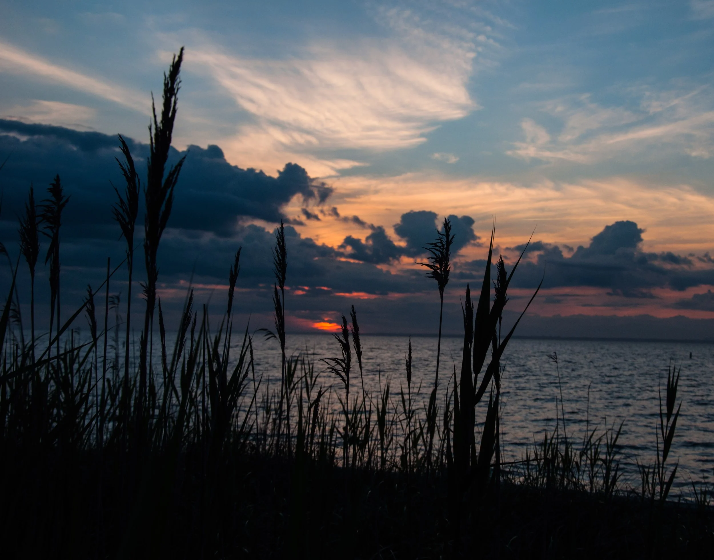 Sunset over the ocean with dark clouds and tall grasses in the foreground.