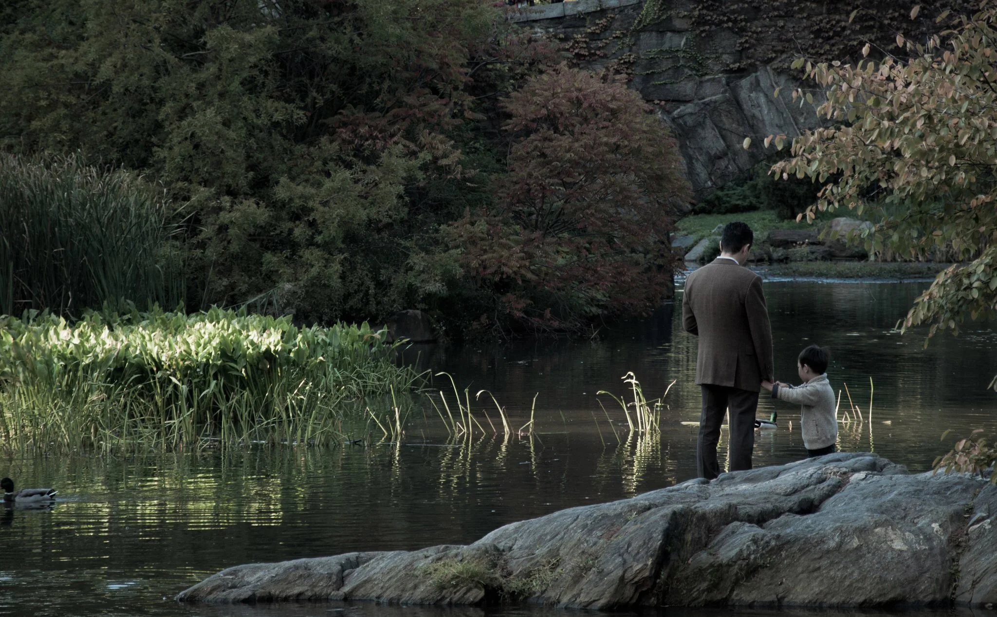 A man and a young boy standing on rocks by a river, holding hands, with trees and bushes surrounding them