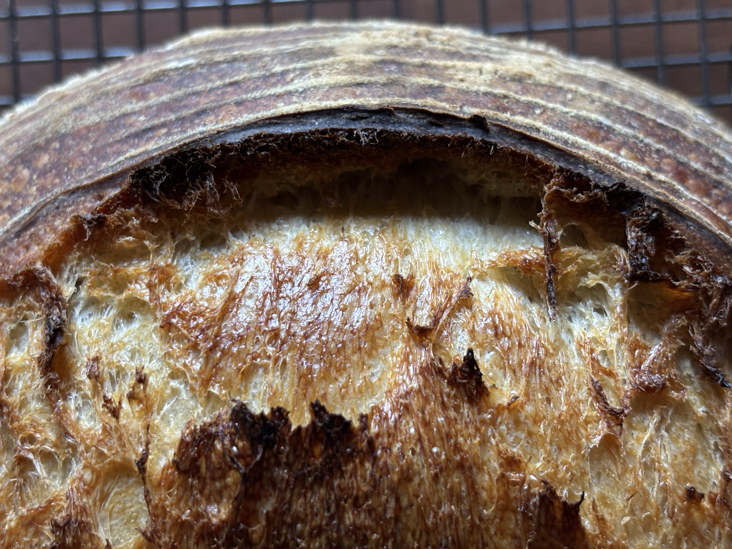 Sourdough bread