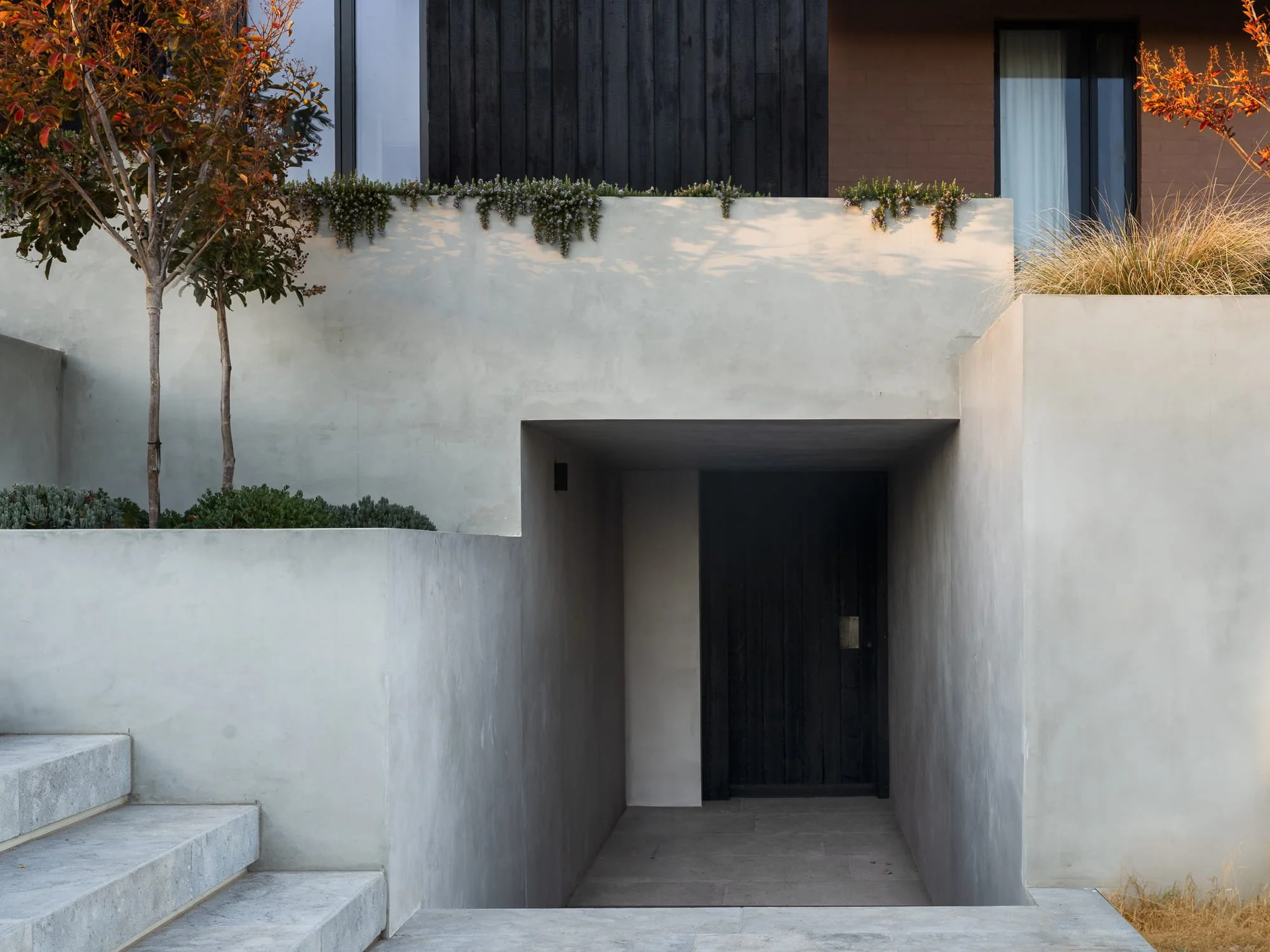 Modern house exterior with large concrete planters filled with plants and trees, black window and wooden siding accents