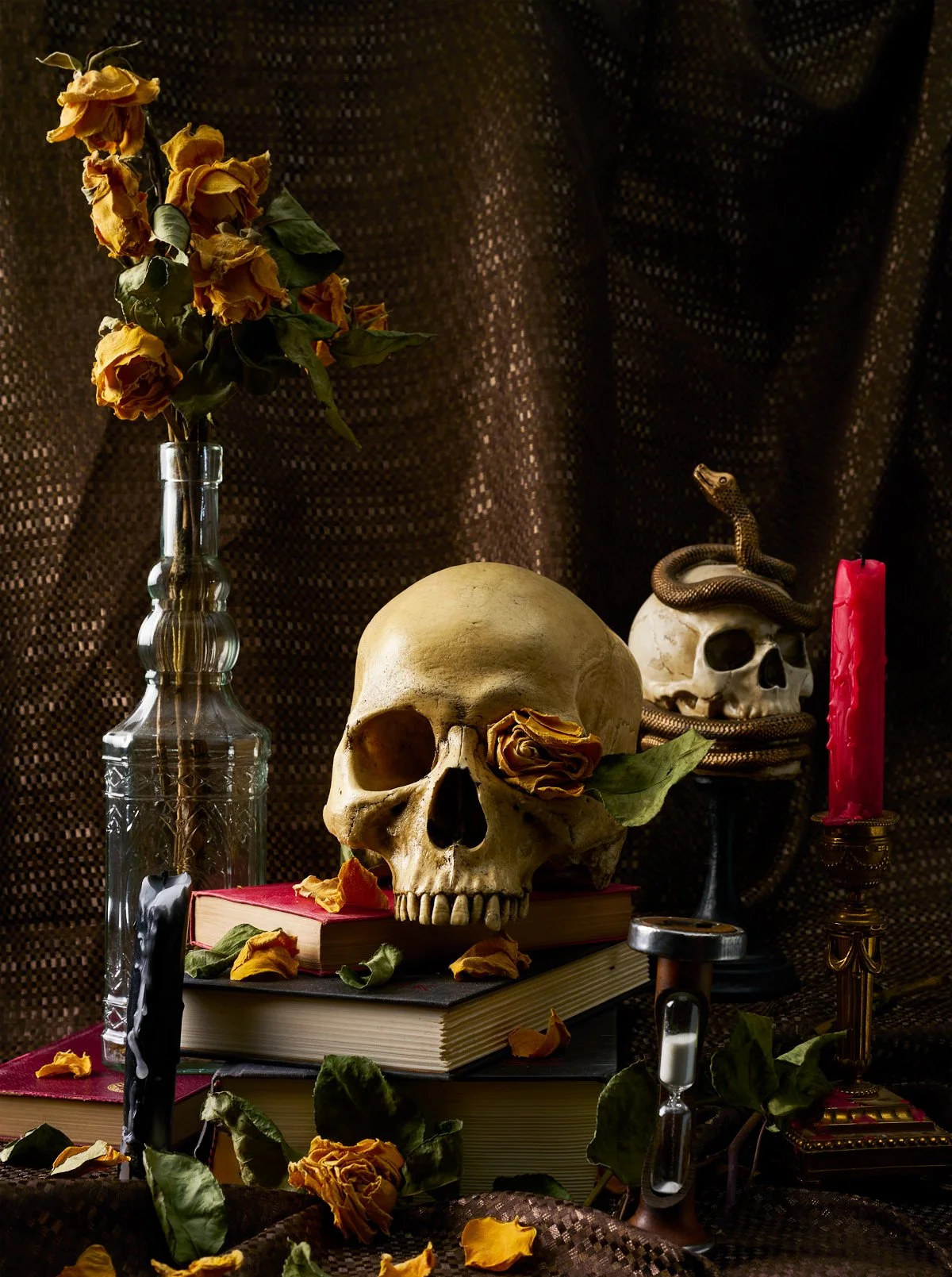 vanitas-still-life-skull-and-books-conceptual-photography.jpg
