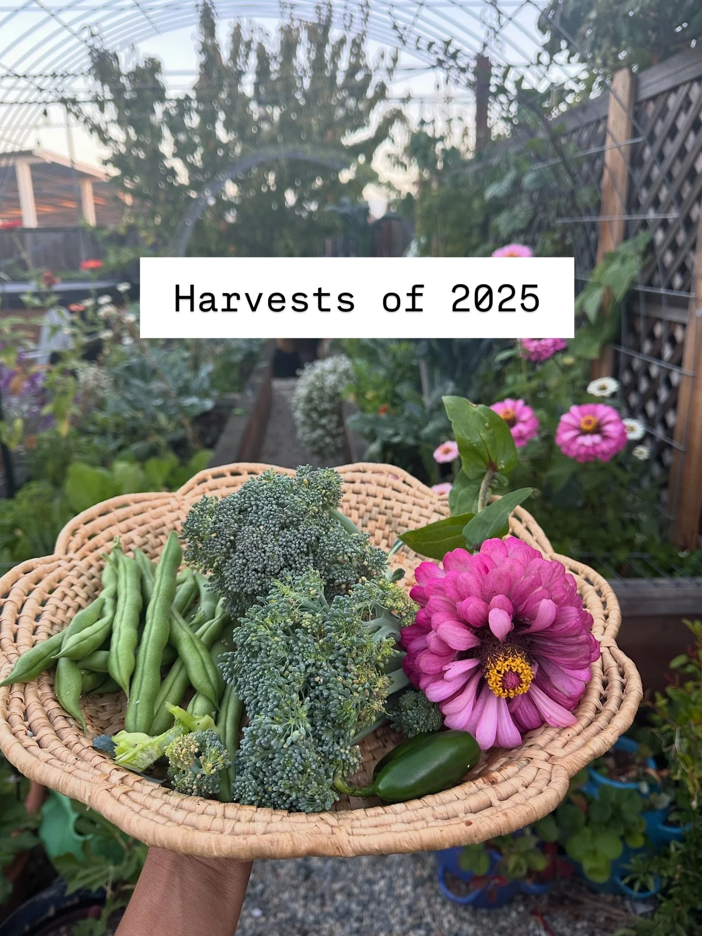 Harvest baskets throughout the year. Here&rsquo;s to a colorful 2026! 🥂 🌈