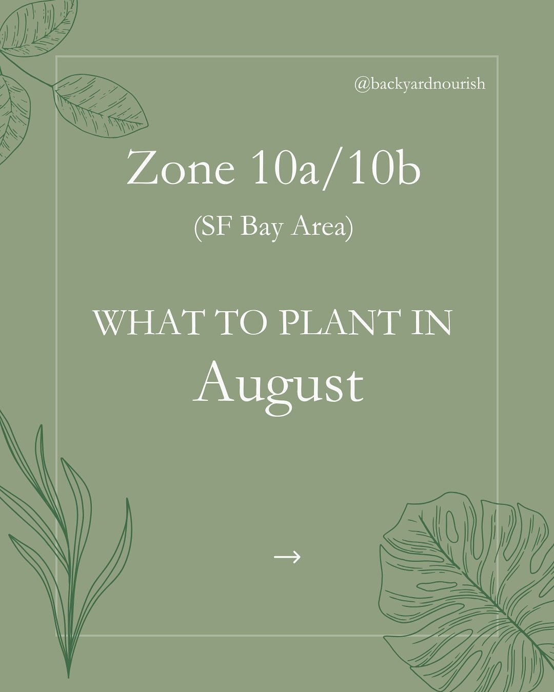 A bit late posting this but here&rsquo;s what you can plant in the garden now in August. I am focusing on all the cool season crops for both mine and client gardens. Fall is such a great gardening season here in the bay.

Are you looking to plant a F