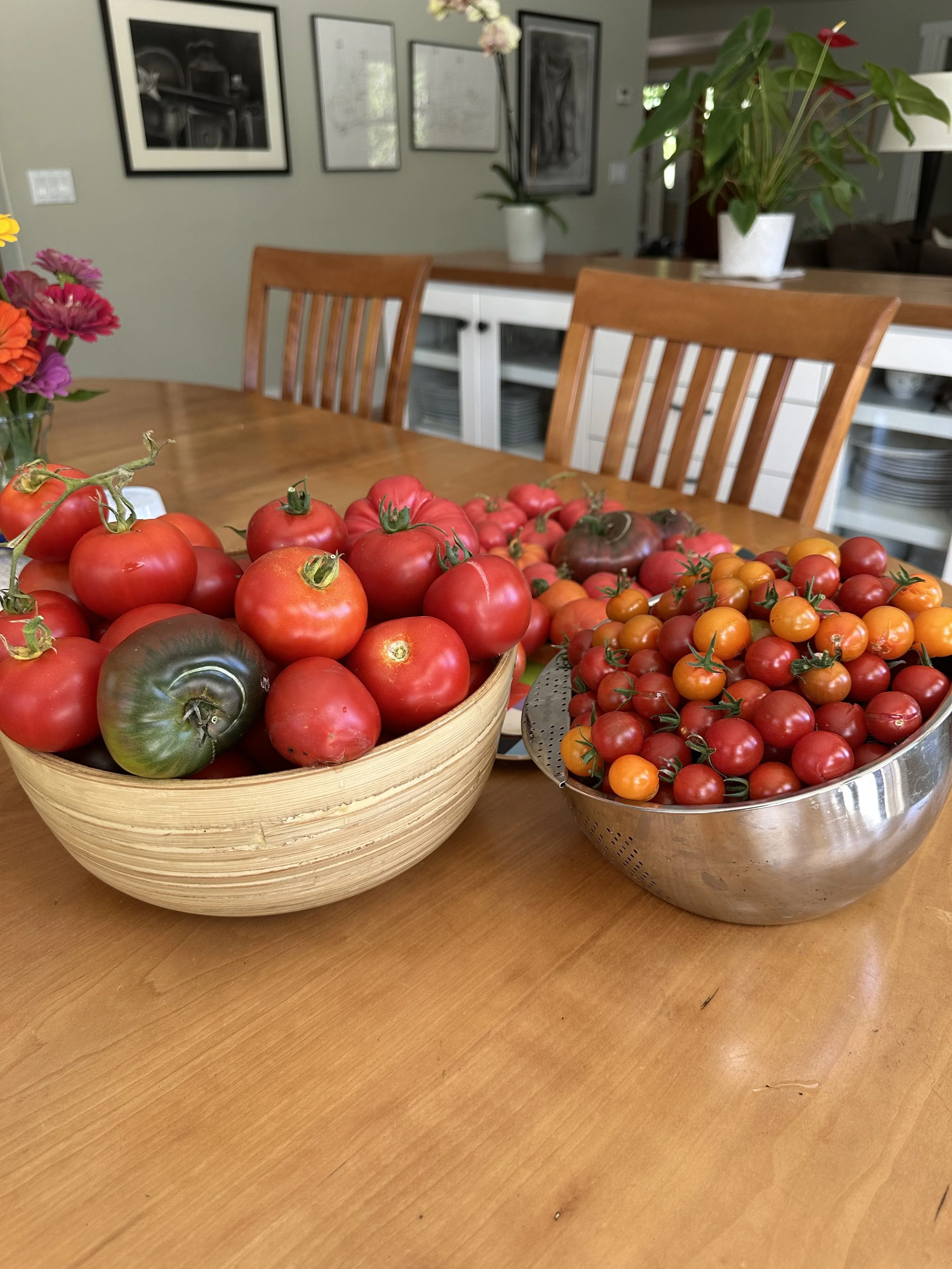Basket of heirloom and cherry tomatoes on a wooden dining table, with potted plants and framed art on the wall in the background.