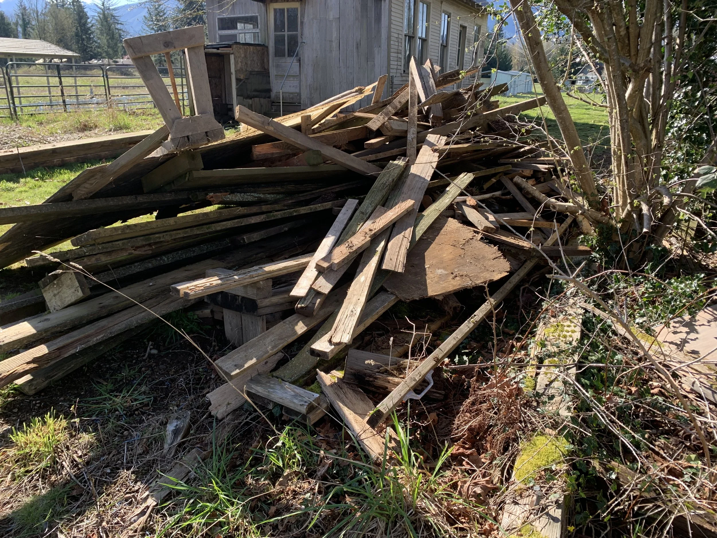 🪵Treehouse Takedown - Sultan, WA