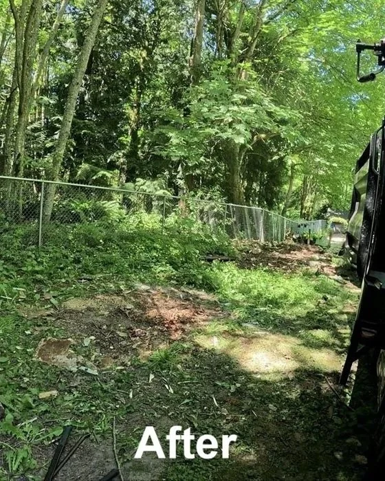 Go-Big-Junk-Removal-Duck-Coop-Removal-Camano-Island-WA-After.jpg