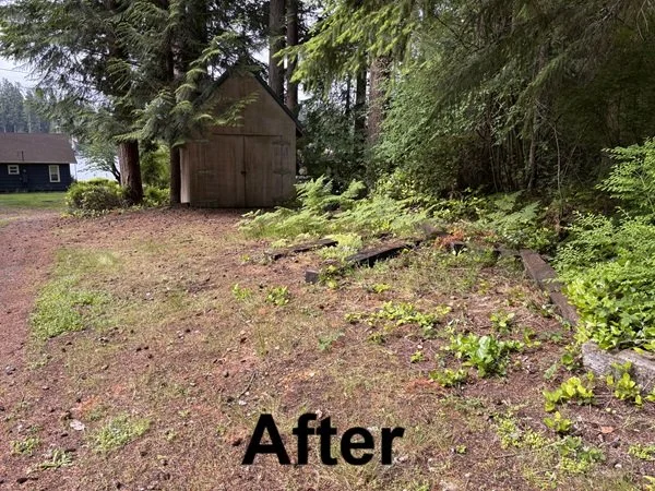 Go-Big-Junk-Removal-Mattress-Pickup-Arlington-WA-After.jpg