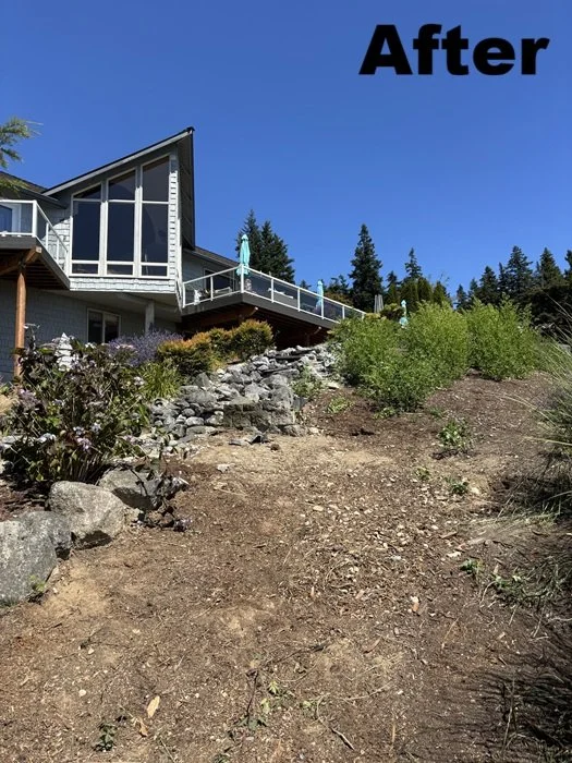 Go-Big-Junk-Removal-Gazebo-Removal-Camano-Isl-WA-After-2.jpg