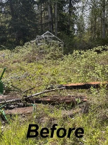 Go Big Junk Removal Green House Removal Snohomish, WA Before