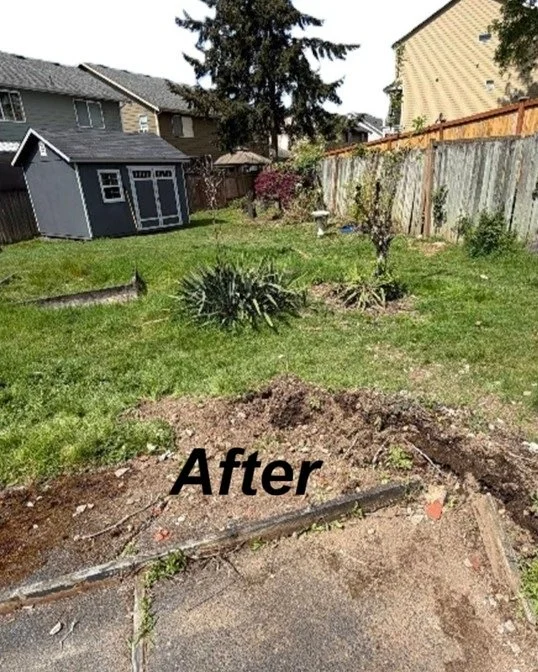 Go Big Junk Removal Yard Debris Removal After Image Lynnwood WA