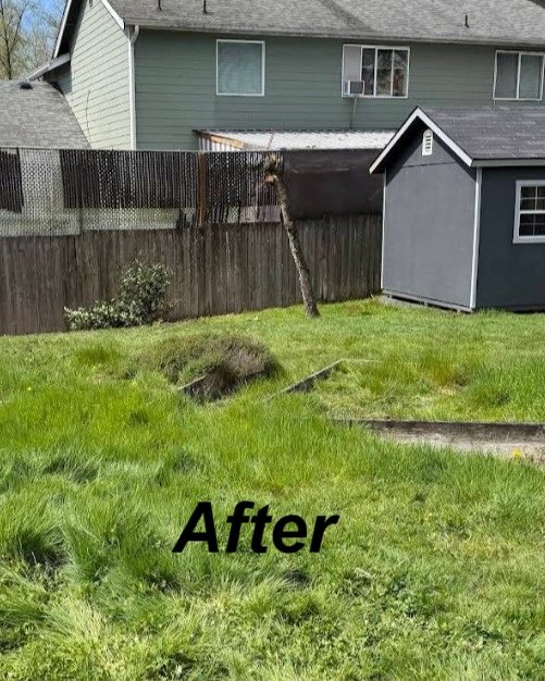 Go Big Junk Removal Yard Debris Removal Mukilteo, WA After Image