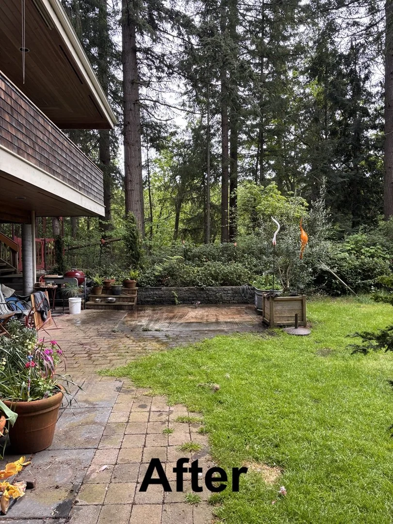 Go Big Junk Removal Hot Tub Removal Tulalip WA After