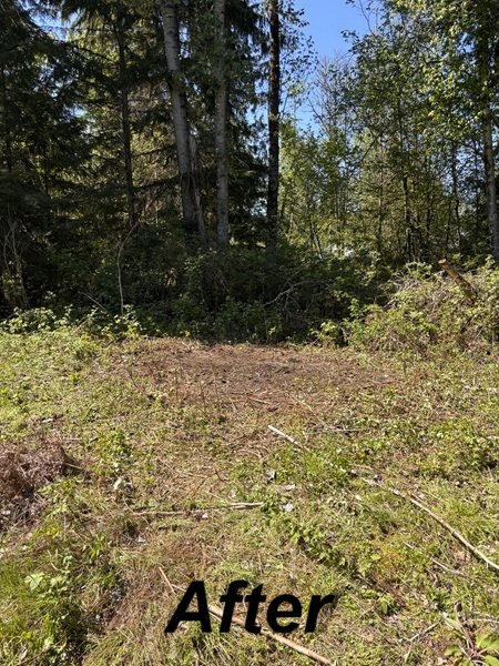Go Big Junk Removal Green House Removal Snohomish, WA Before