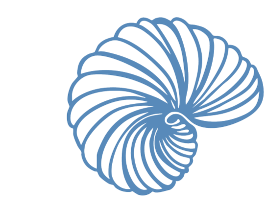 Shell Stamp