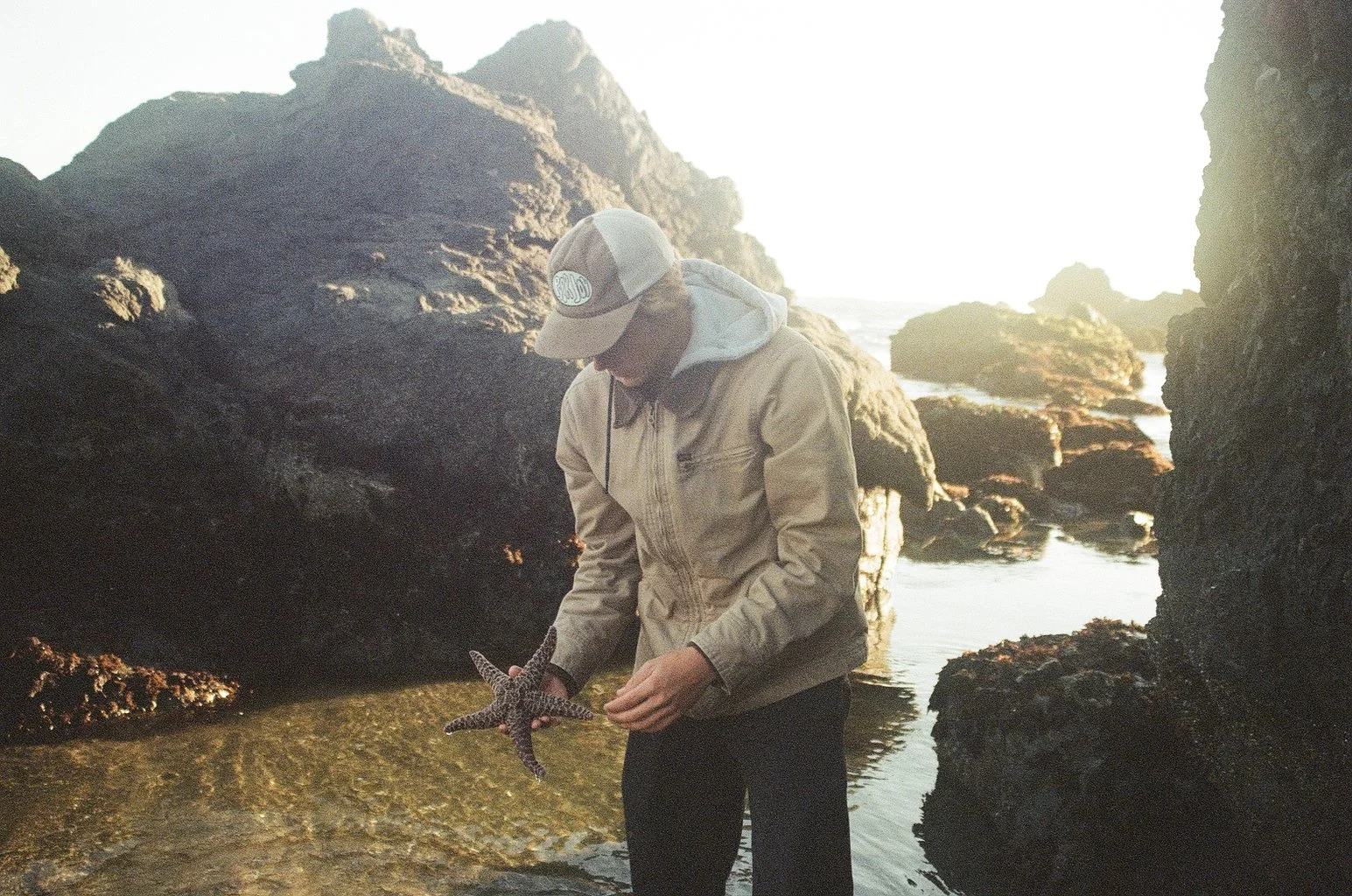 Tide Pooling