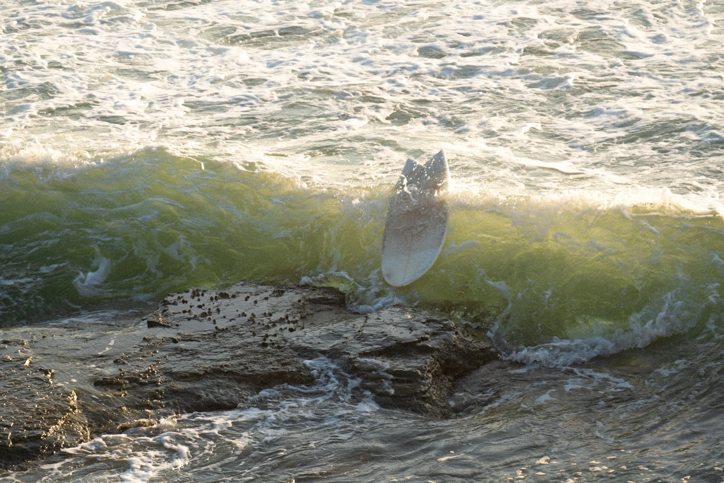 Move with the Tide