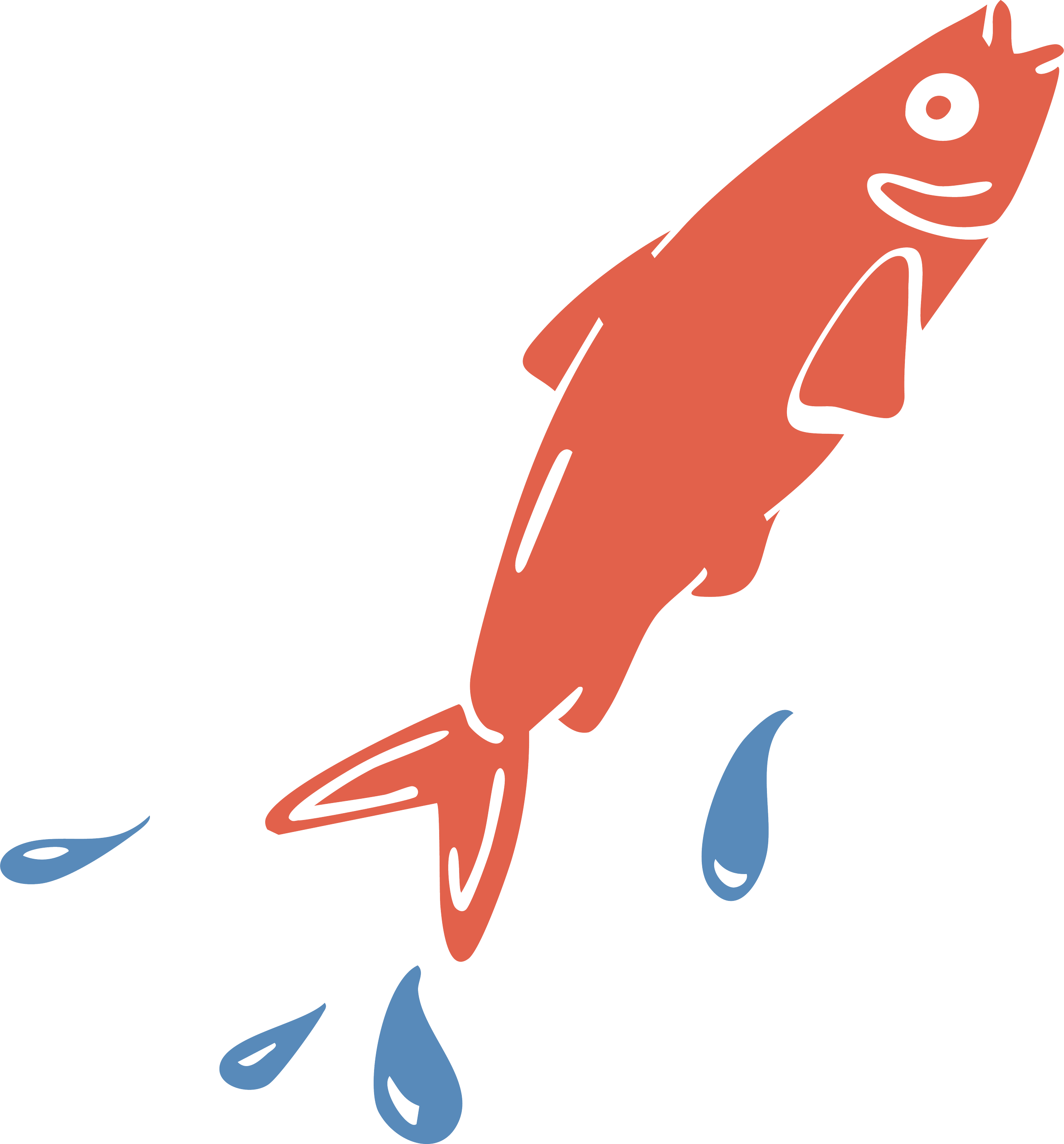 Fish