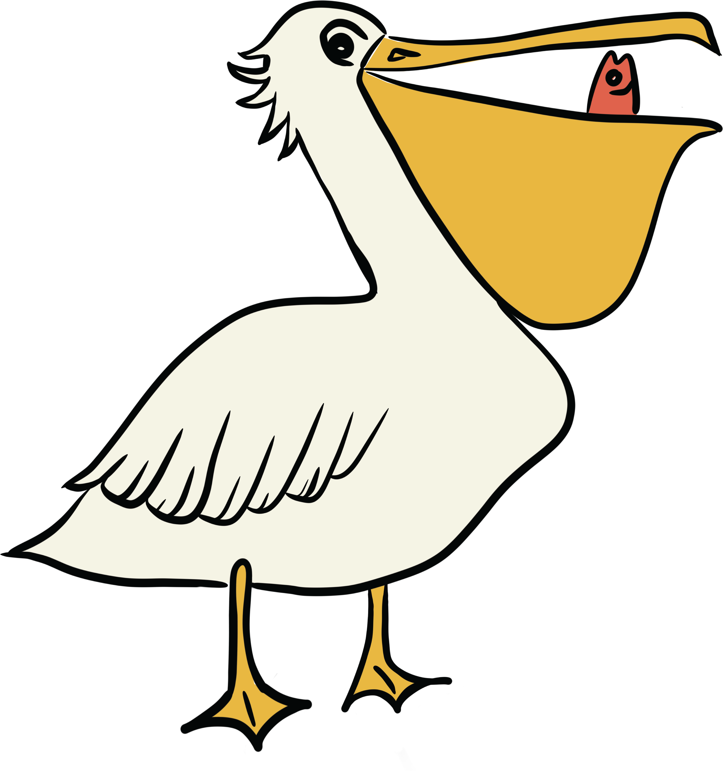 Pelican