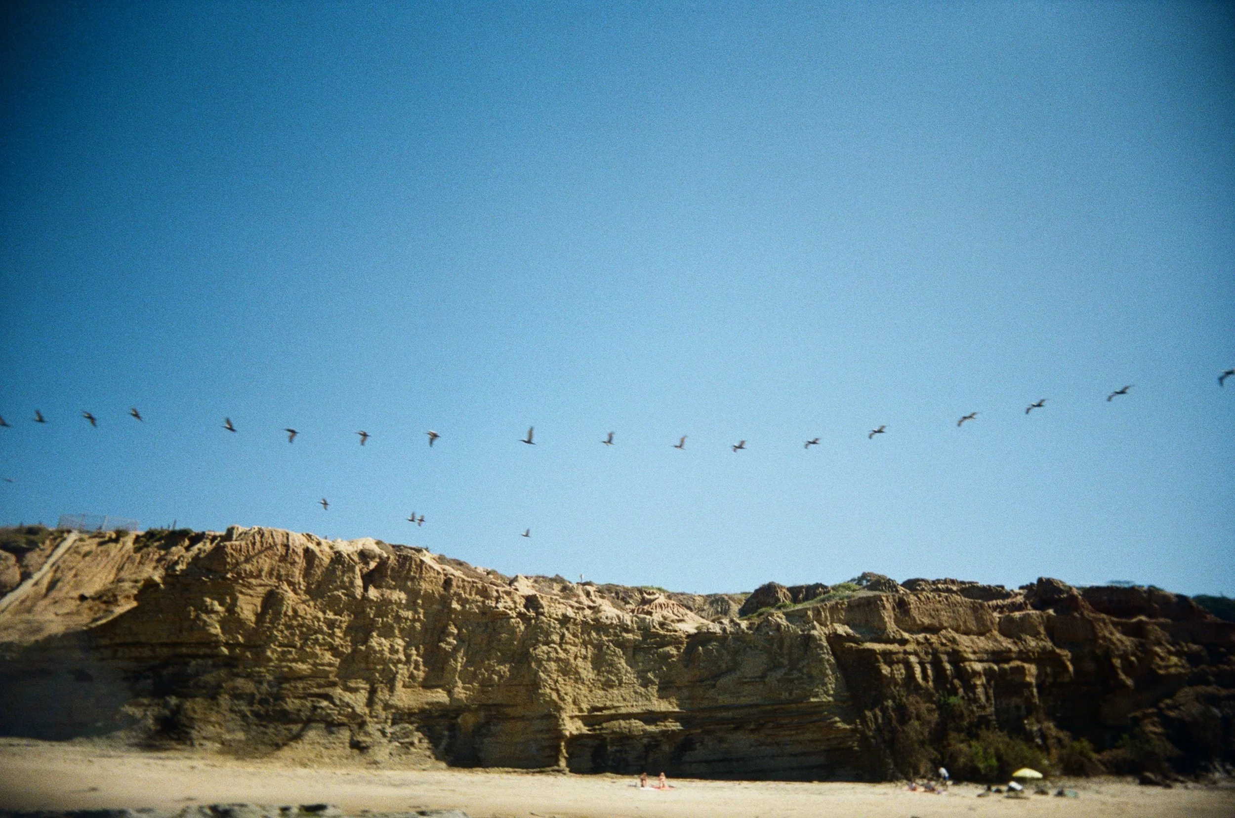 Flight Pattern, Pelican