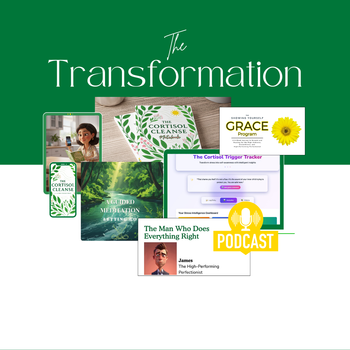 A collage of mental health and wellness items including books, a podcast graphic, a meditation guide, and a digital program interface, all related to transformation and self-improvement.