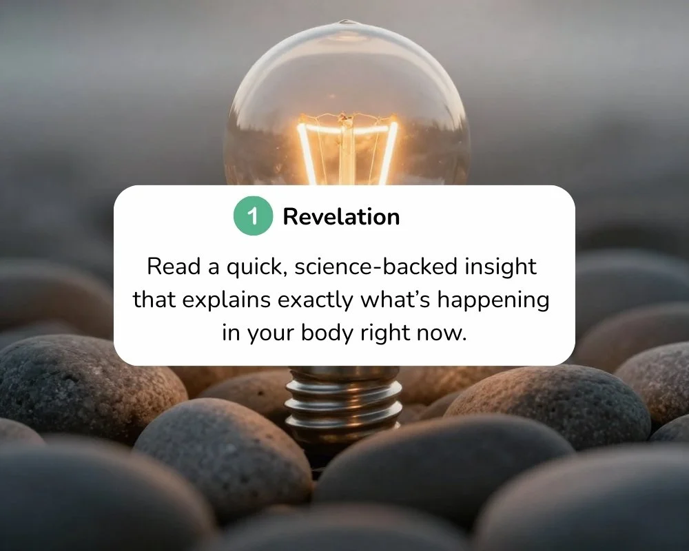 A light bulb glowing, surrounded by small round stones, with an overlay text box that reads 'Revelation: Read a quick, science-backed insight that explains exactly what's happening in your body right now.'