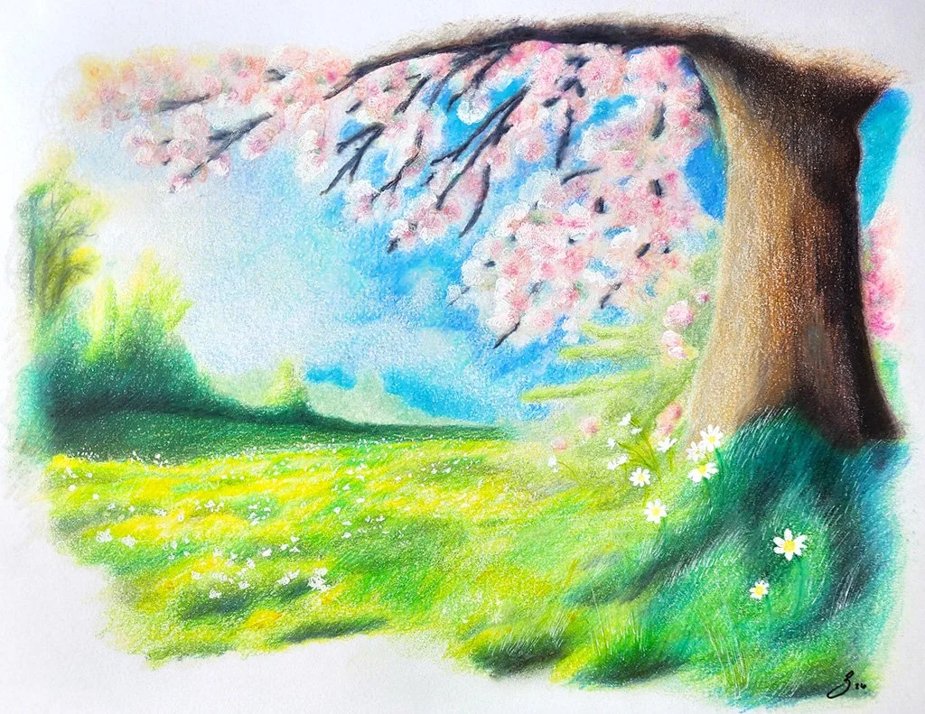 Colorful watercolor painting of a scenic landscape with a large cherry blossom tree in full bloom, green grass with small white flowers, blue sky with clouds, and a distant green treeline.