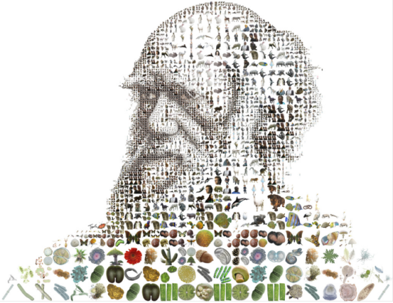 Charles Darwin Perfectly Expresses the Agnostic Dilemma