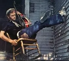 Jerry Reed: “She Got the Goldmine, I Got the Shaft”