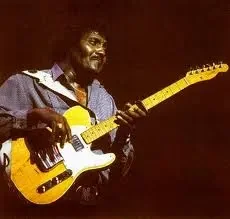 Albert Collins: “Too Many Dirty Dishes”