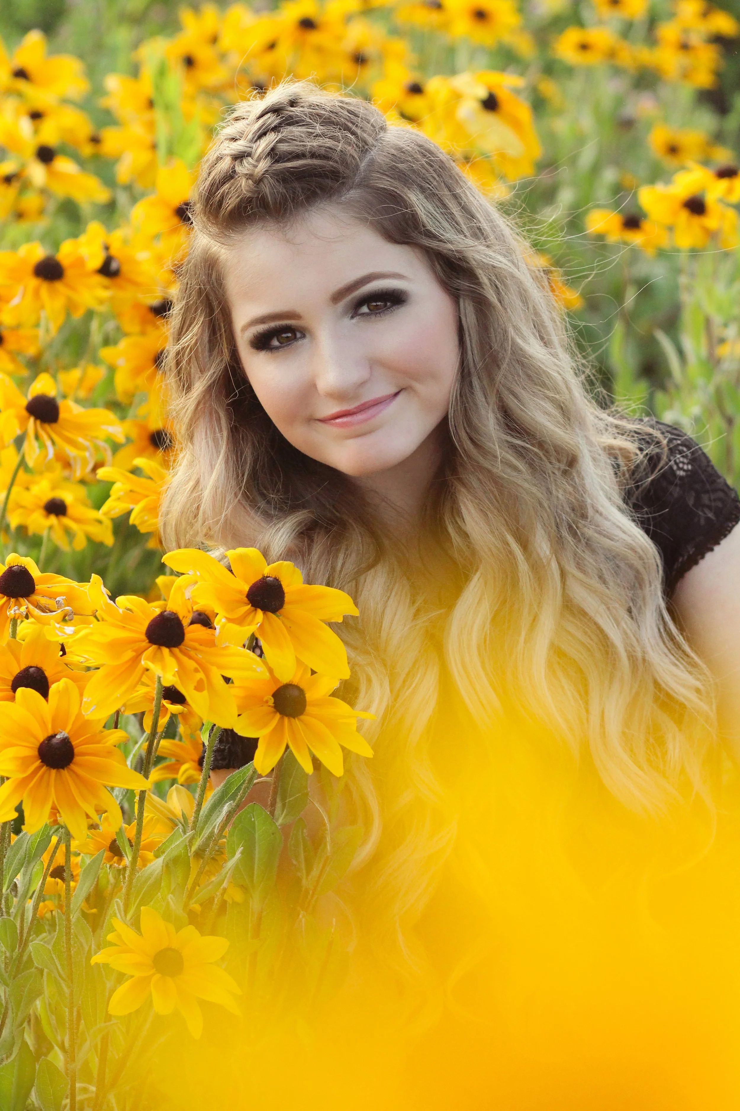 Sunflower.JPG