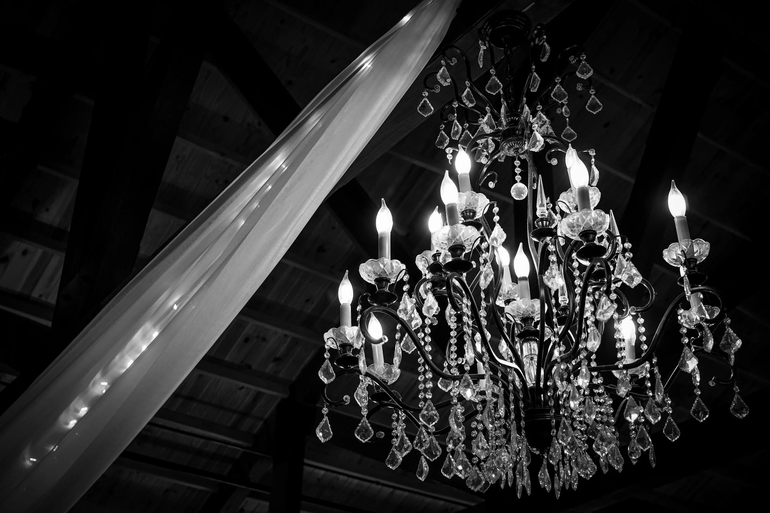 Decor 14 b&w.jpg