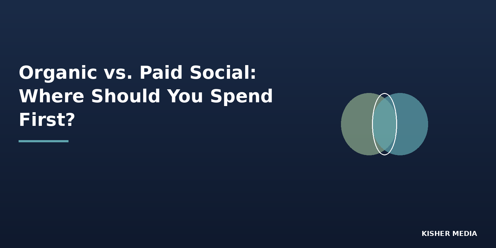 Organic vs. Paid Social: Where Should a Chicagoland Business Spend First?