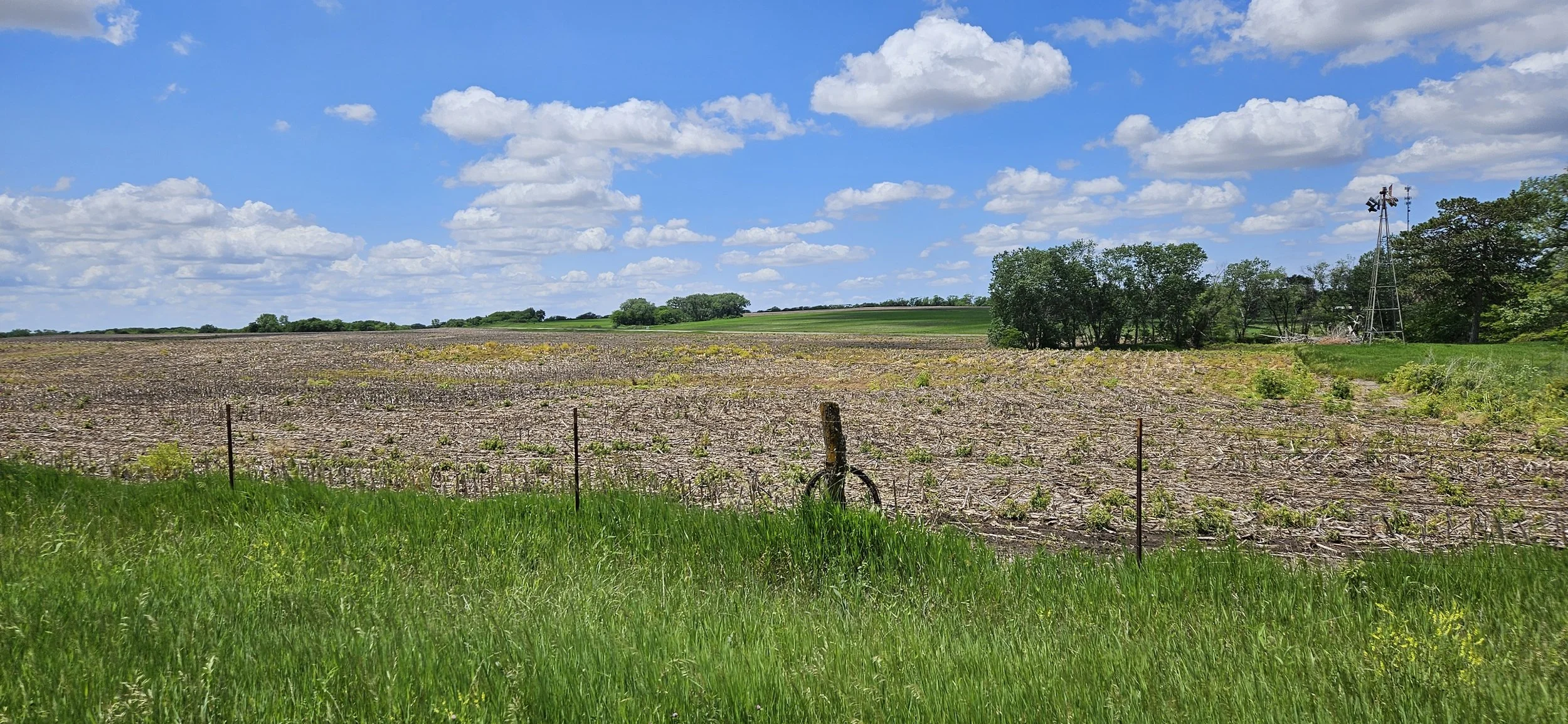 Photograph of a sunny field landscape located in Crab Orchard, Nebraska.