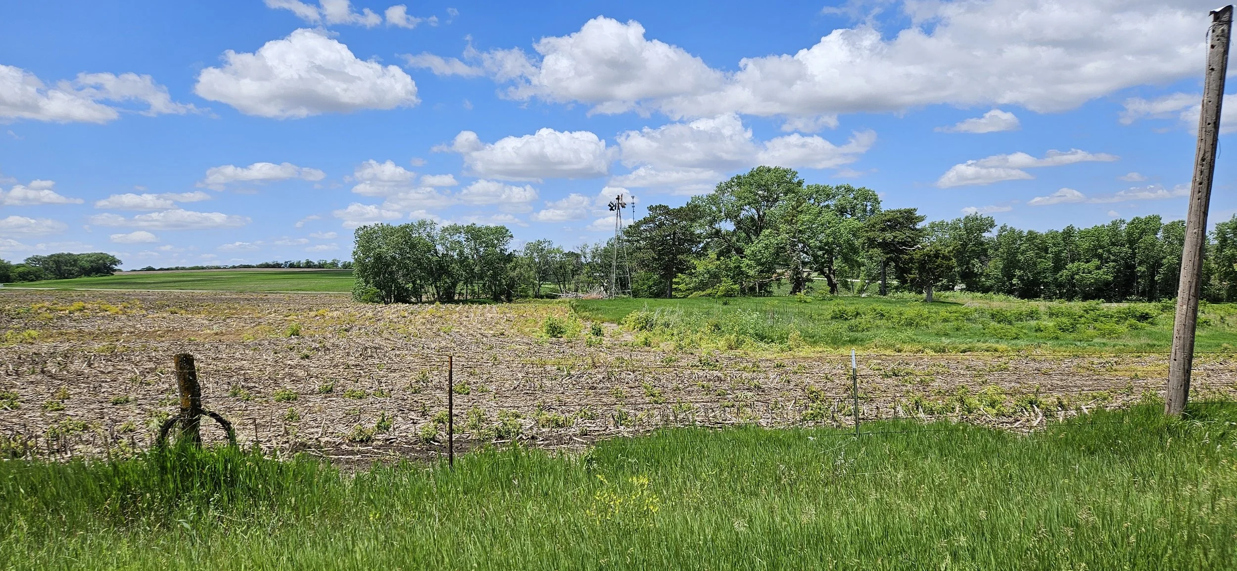 Photograph of a sunny field landscape located in Crab Orchard, Nebraska.