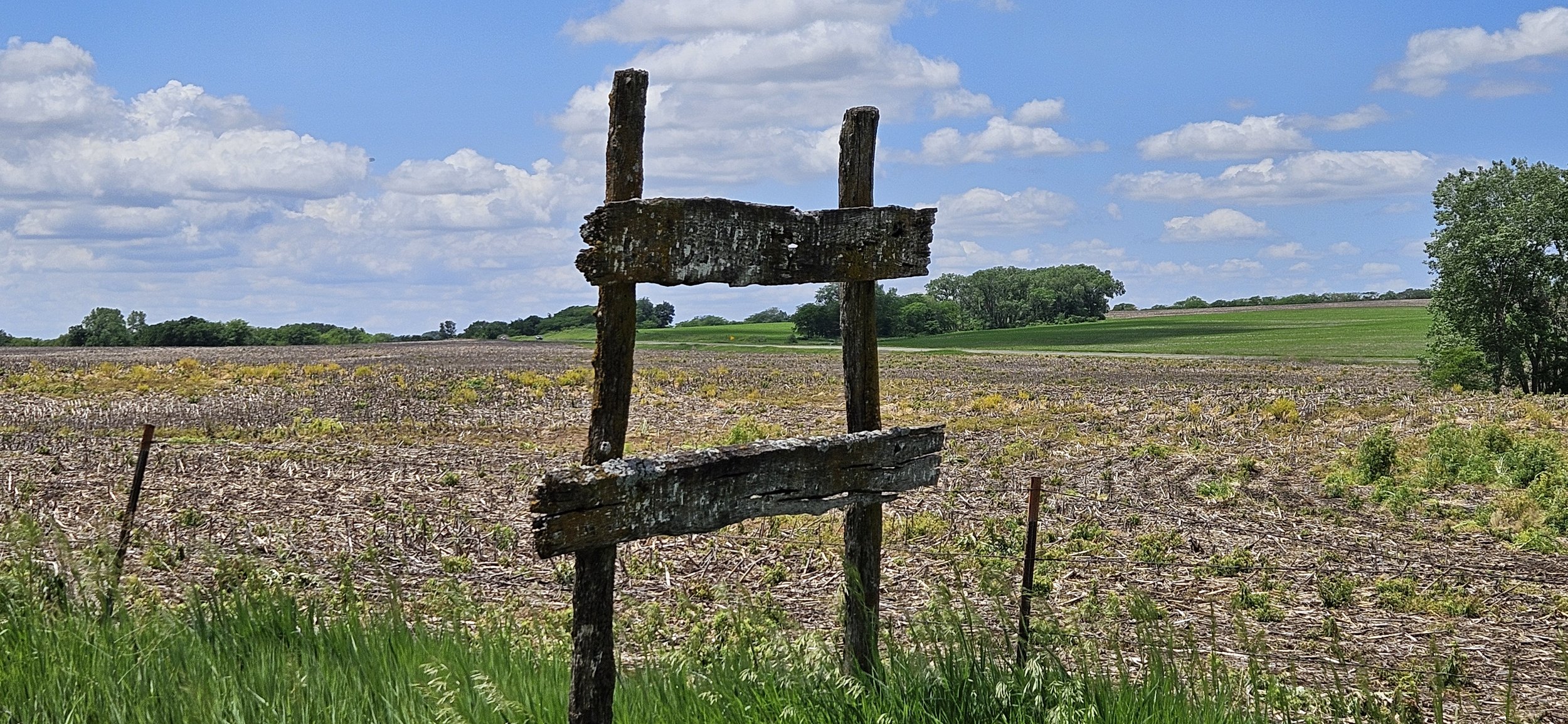 Photograph of a sunny field landscape located in Crab Orchard, Nebraska.
