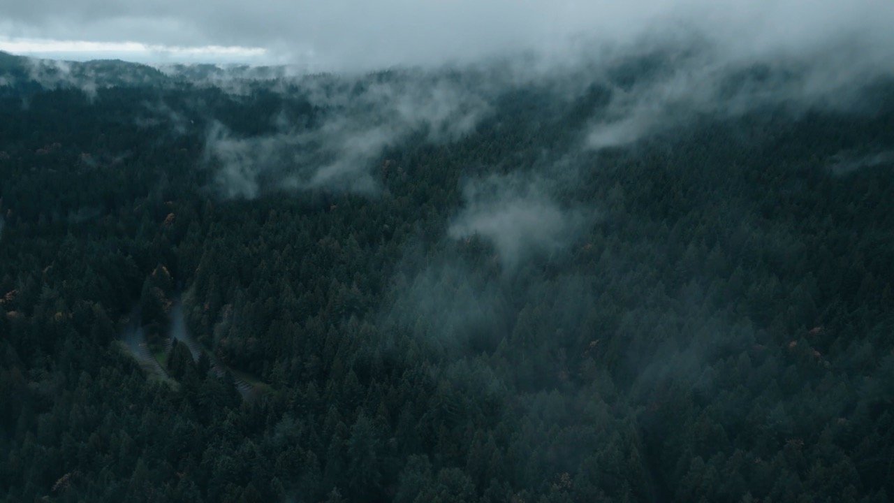 Screenshot 2026-02-26 at 1.04.25 PM Large.jpeg