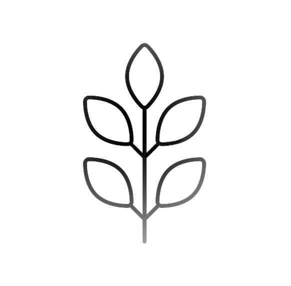 Line drawing of a plant with six leaves, three on each side, attached to a central stem.